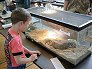 Reptile Wonders Photo #2