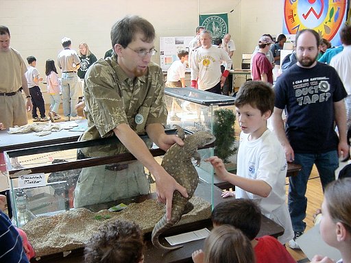 Reptile Wonders Photo