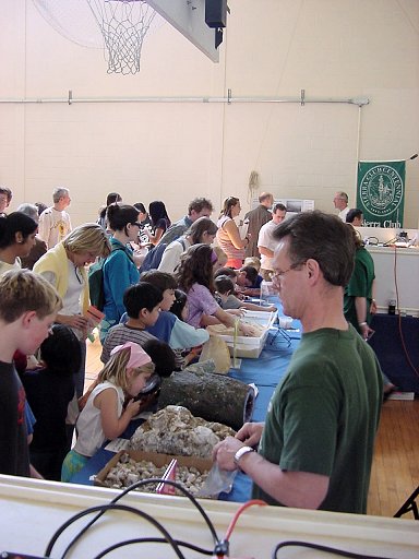 Gem and Mineral Society Photo
