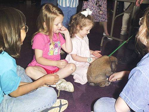 Animal Exchange Photo #2