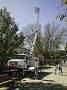 Pepco Truck Photo